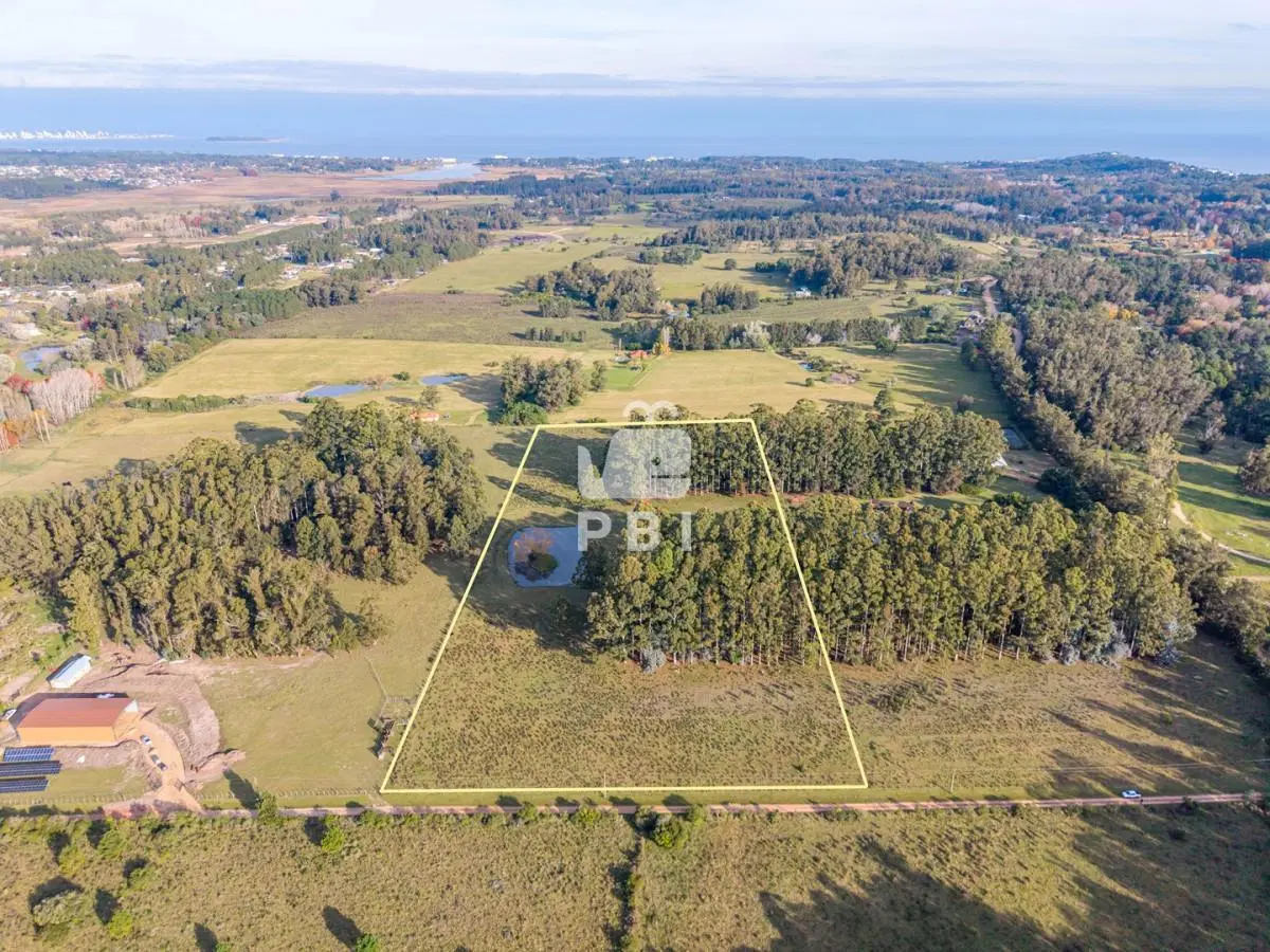 Chacra en venta en Punta Ballena, Maldonado - Ref : PBI15893 5