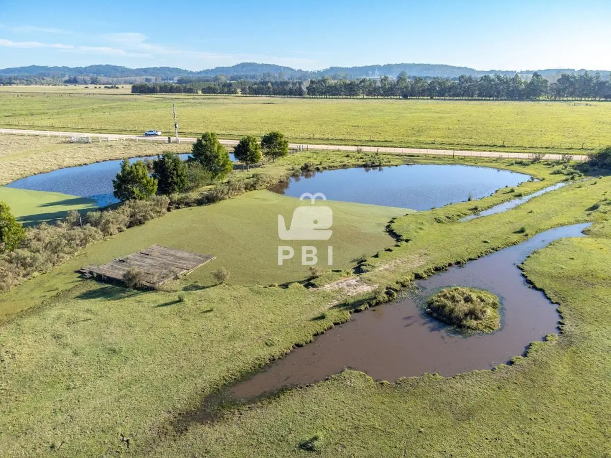 Chacra de 5,6 Has en Punta Ballena - Ref : PBI15898 3