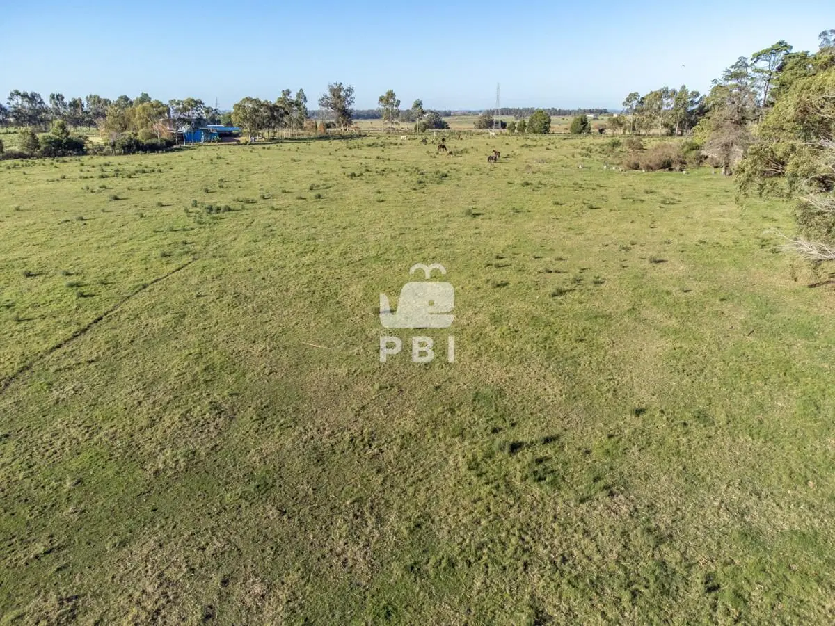 Chacra de 5,6 Has en Punta Ballena - Ref : PBI15898 5