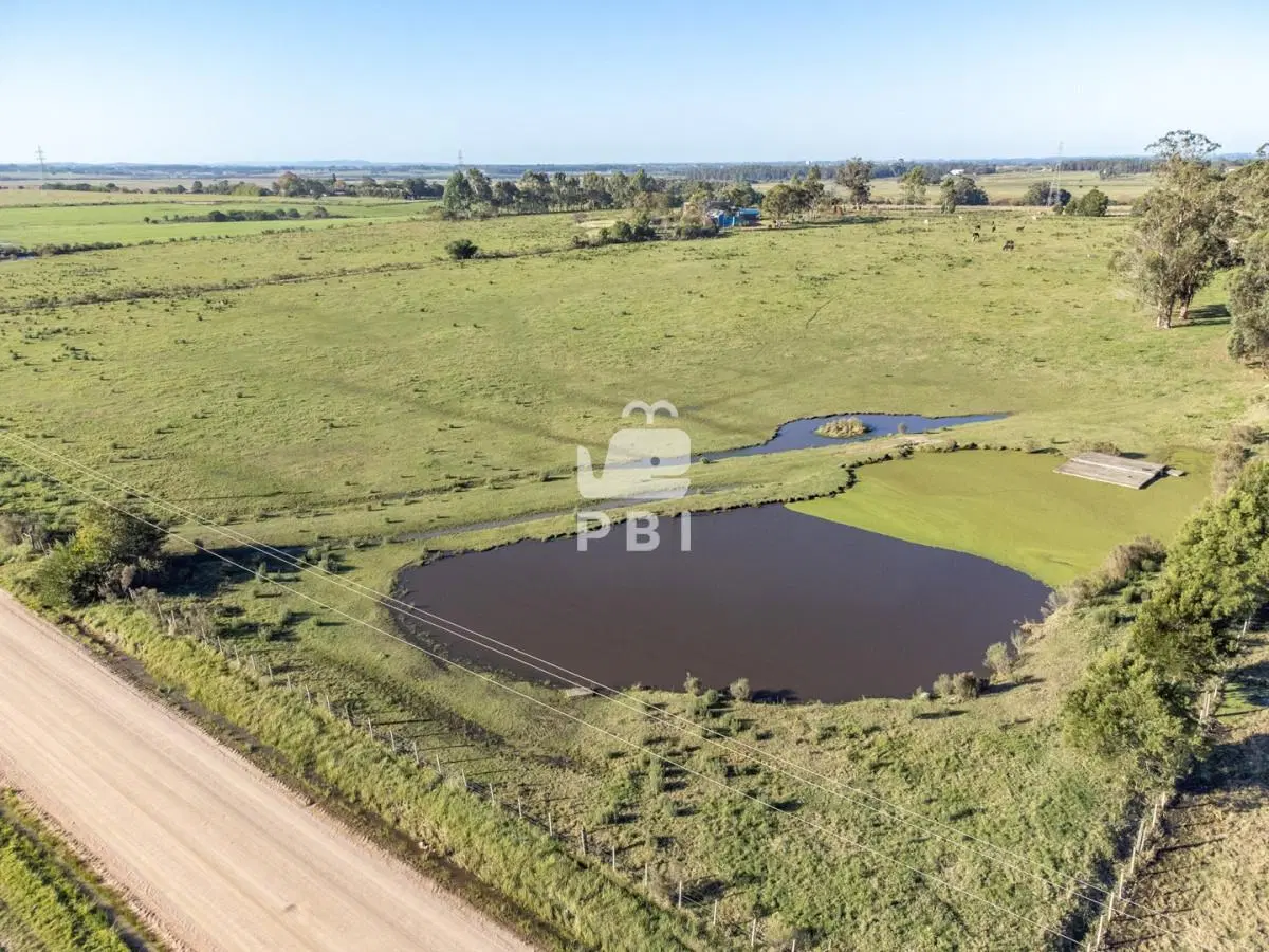 Chacra de 5,6 Has en Punta Ballena - Ref : PBI15898 1