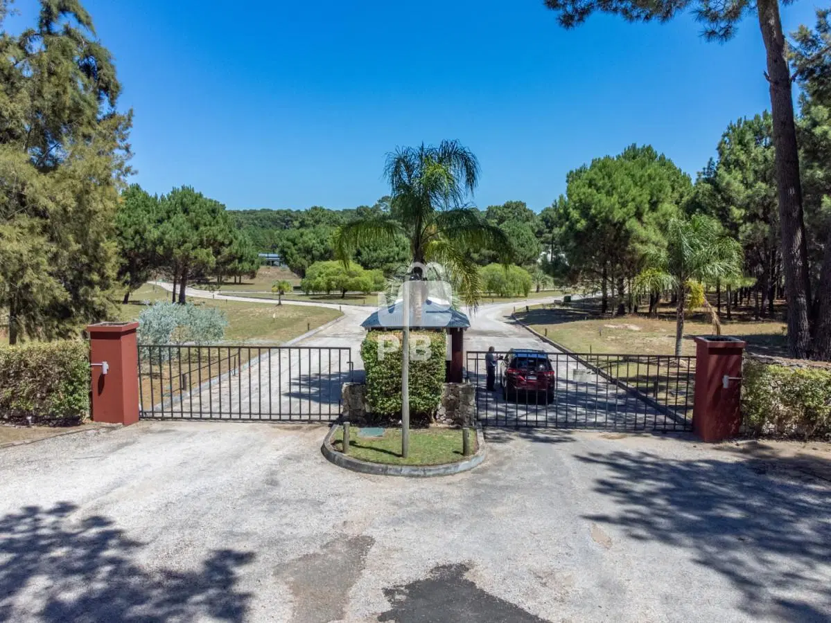 Terreno en venta en Acres de Solana, Punta Ballena - Ref : PBI15929 1