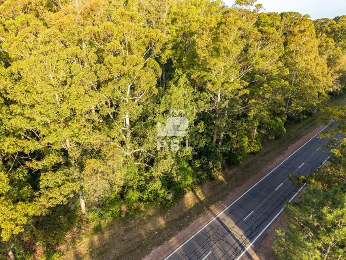 Terreno en venta Las Cumbres - Ref : PBI1791 2