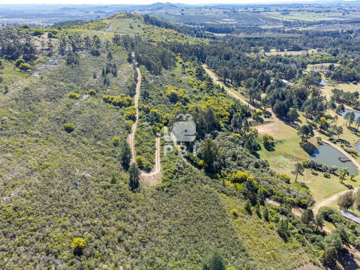 Chacra de 6,97 Has de superficie en Las Vertientes - Ref : PBI15148 4