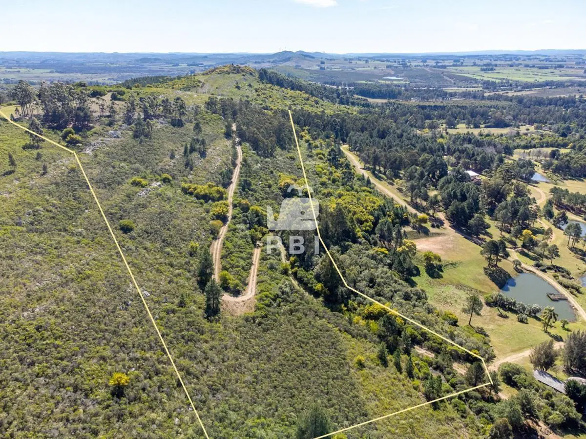 Chacra de 6,97 Has de superficie en Las Vertientes - Ref : PBI15148 2