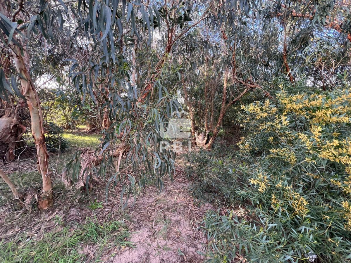 Foto de Terreno en venta en Sauce de Portezuelo, Punta Ballena - Ref : PBI16105, imagen 4
