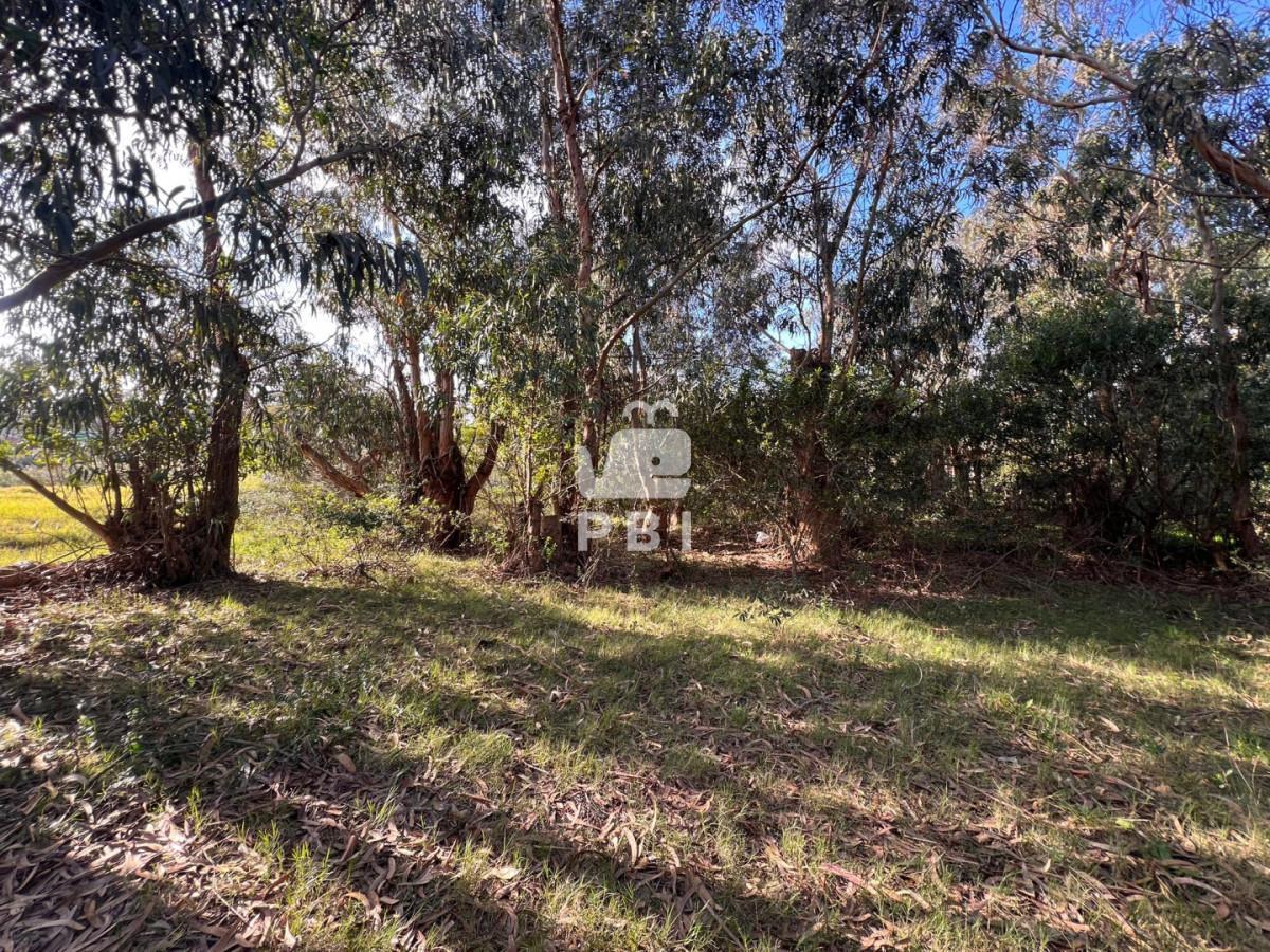 Foto de Terreno en venta en Sauce de Portezuelo, Punta Ballena - Ref : PBI16106, imagen 2