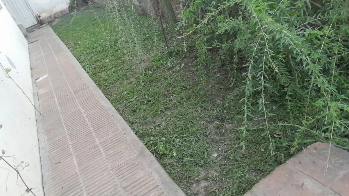 Casa con Amplio Terreno y Cochera en Carlos Spegazzini! 3