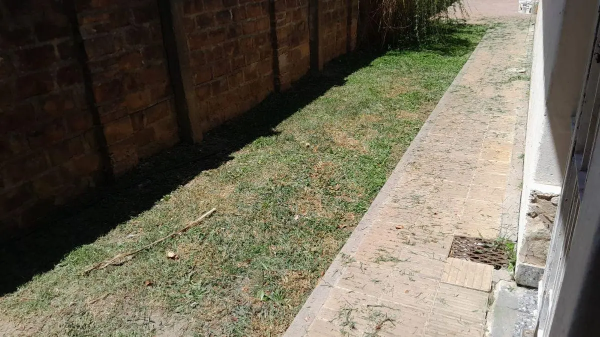 Casa con Amplio Terreno y Cochera en Carlos Spegazzini! 5