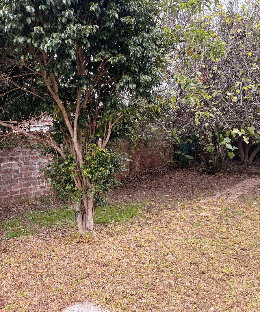 CASA DOS DOMRITORIOS CON JARDIN..APTO VIVIENDA, OTROS DESTINOS , INSTITUCION, COMERCIAL, ETC. 4