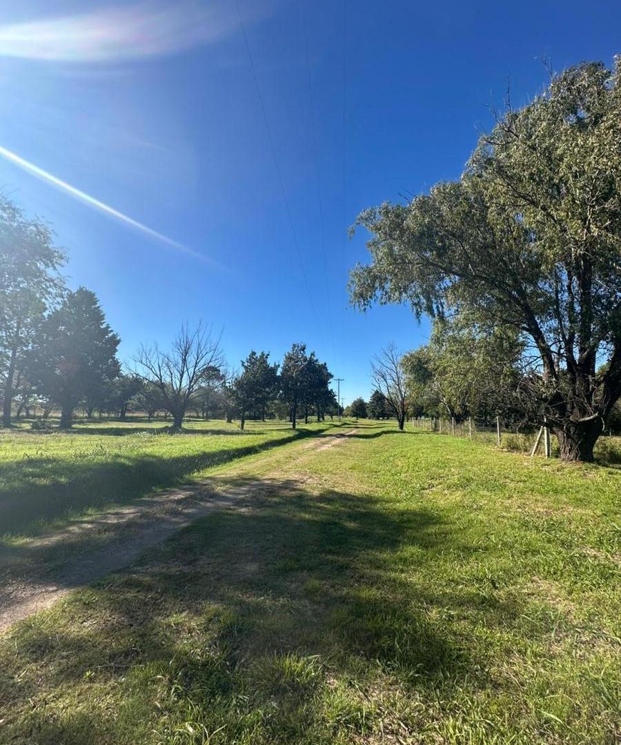 Foto de Terreno en venta valle del golf etapa 3, imagen 5