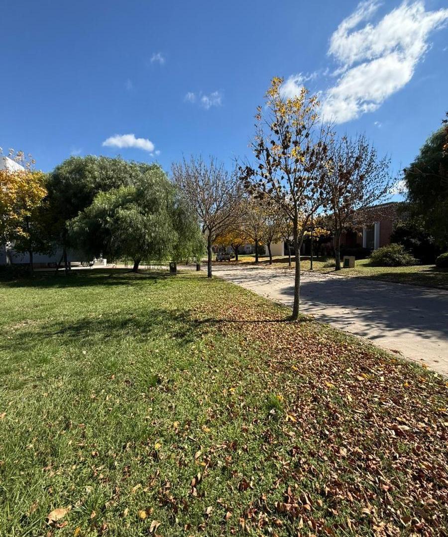 Foto de Terreno en Venta Campiñas del Sur central, imagen 3