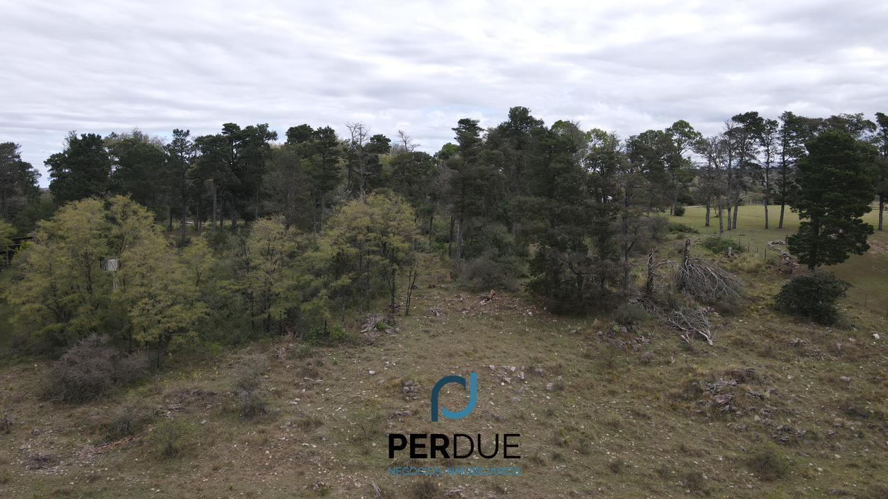 Foto de Terreno en venta Potrero De Garay con costa propia, imagen 3