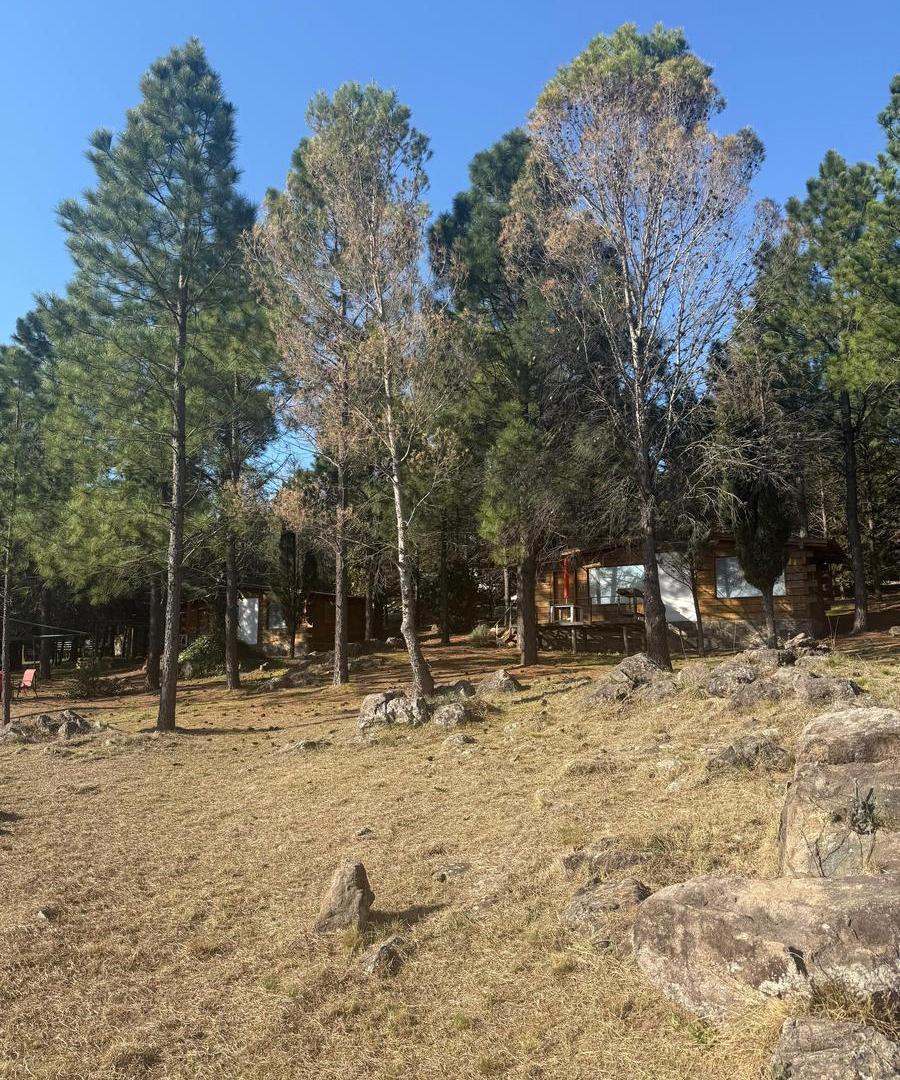 Foto de terreno en venta con costa en Potrero De Garay, imagen 3