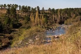 Foto de Terreno en venta Los Reartes, imagen 1
