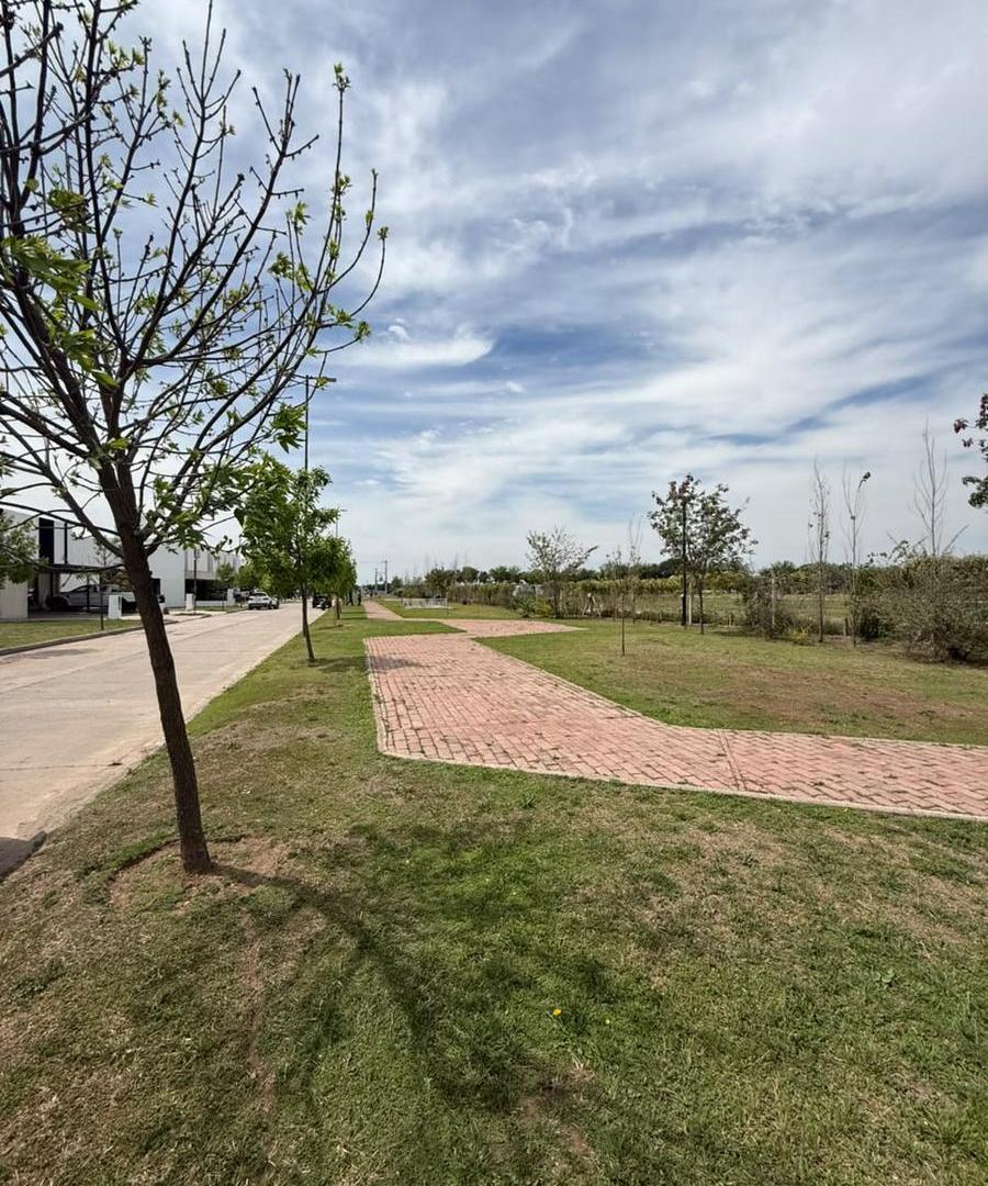 Foto de Terreno en venta Distrito Sur cordoba, imagen 4