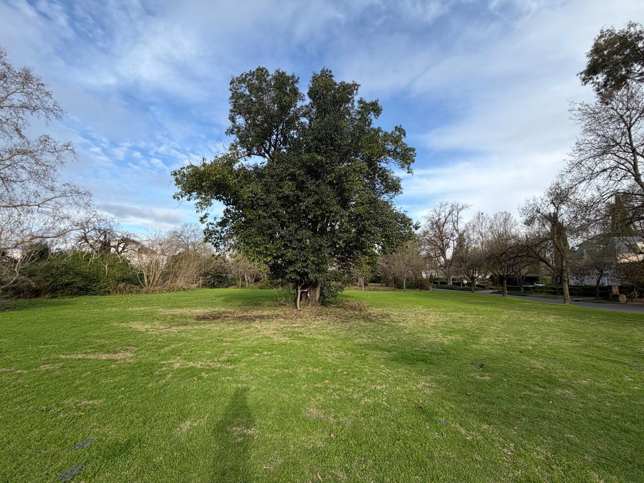 Foto de Terreno en Martindale C.C, imagen 4