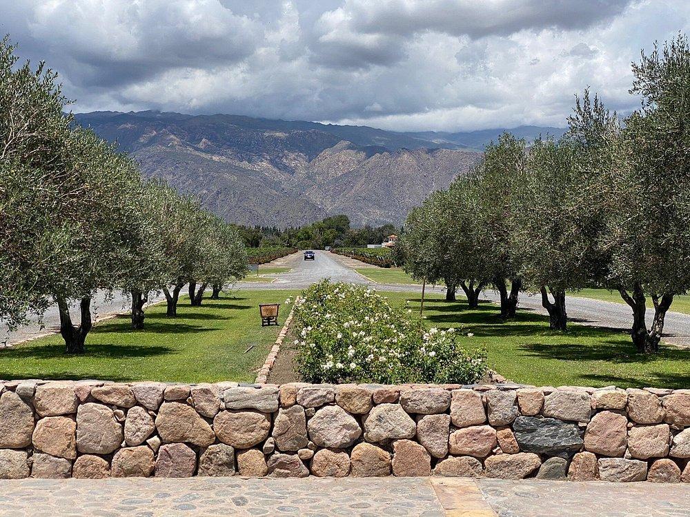 Terreno en Venta - Estancias de Cafayate 4