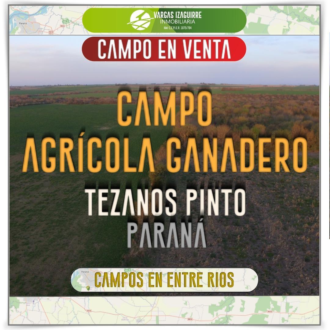 Campo AGRICOLA - GANADERO en VENTA. 39 ha. Tezanos Pinto. Paraná. Entre Rios