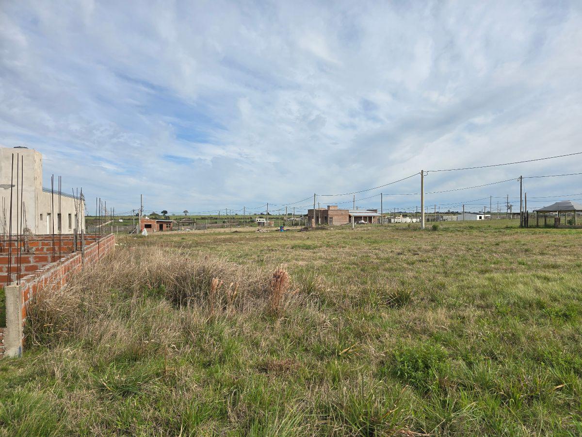 Foto de Terreno para casa quinta en Colonia Ensayo loteo Tierra Alta, imagen 3