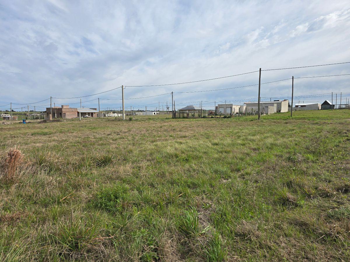 Foto de Terreno para casa quinta en Colonia Ensayo loteo Tierra Alta, imagen 2
