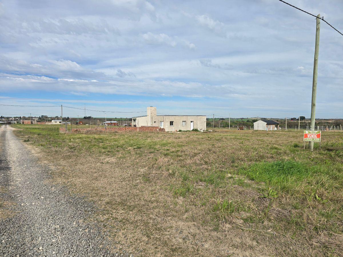Foto de Terreno para casa quinta en Colonia Ensayo loteo Tierra Alta, imagen 4