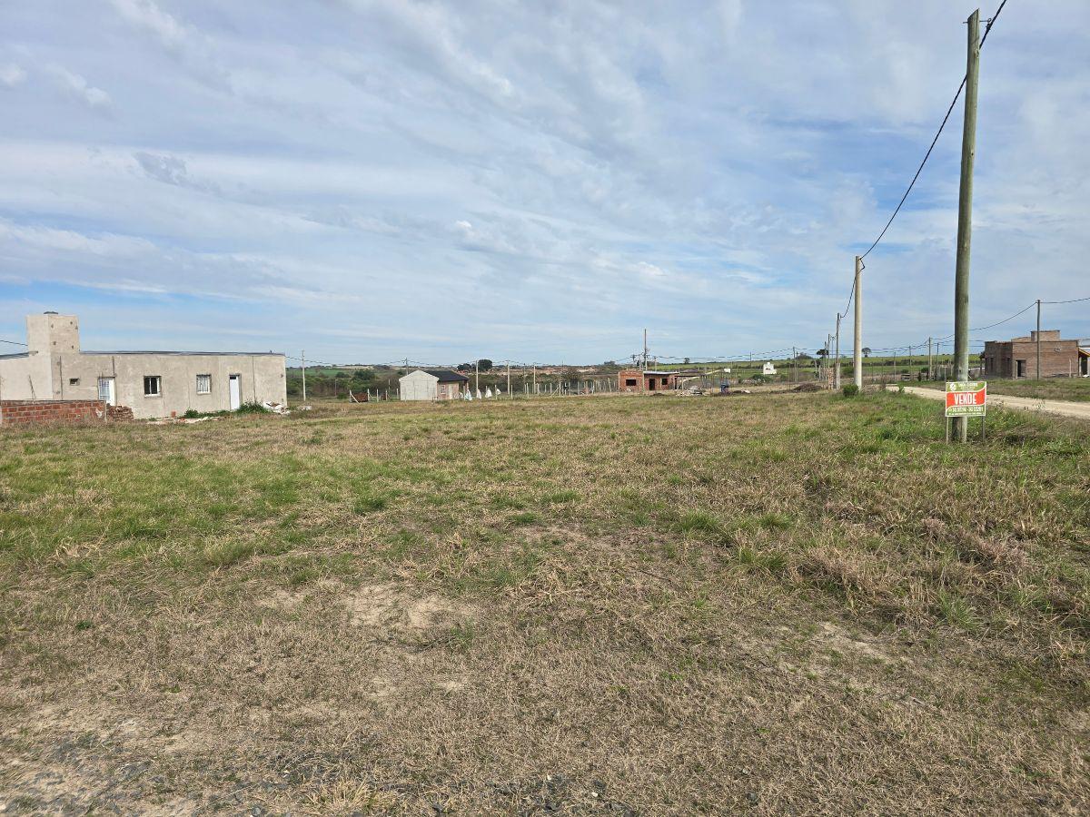 Foto de Terreno para casa quinta en Colonia Ensayo loteo Tierra Alta, imagen 5