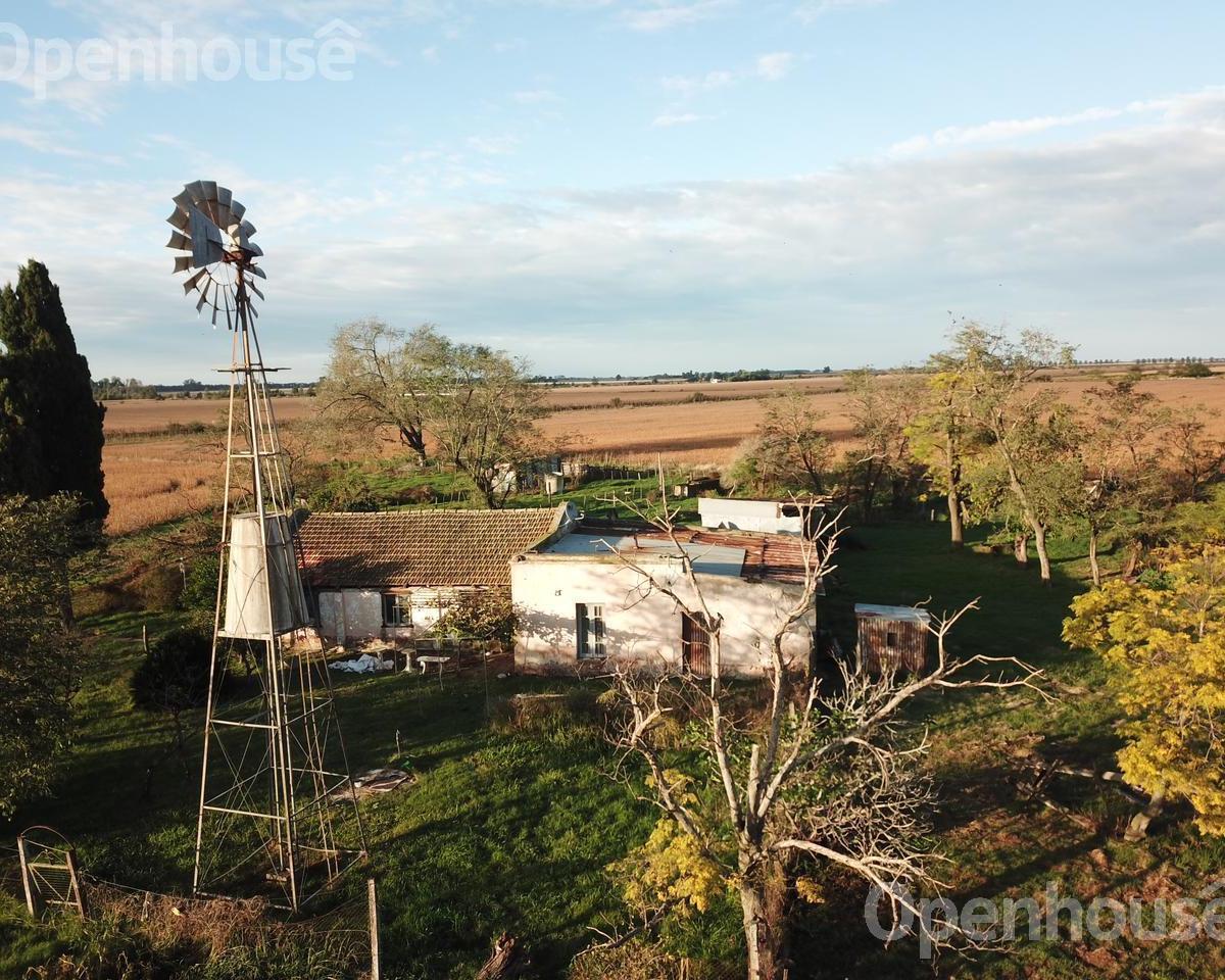 Venta campo 23,5 has agricolas con mejoras sobre ruta 8 km 91, Diego Gaynor.