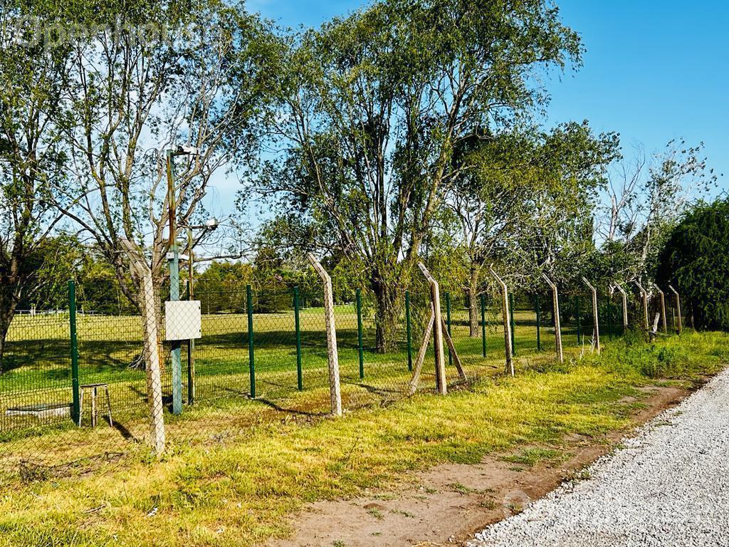 Foto de Venta Lote en Lomas de Manzanares, imagen 5