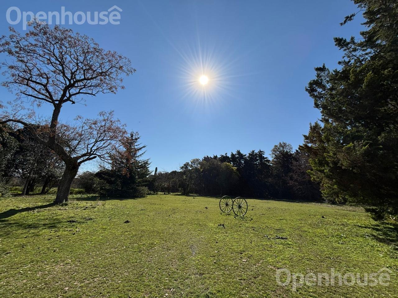 Foto de VENTA CHACRA DE 13 HAS CON CASCO Y GALPON EN CARMEN DE ARECO., imagen 5