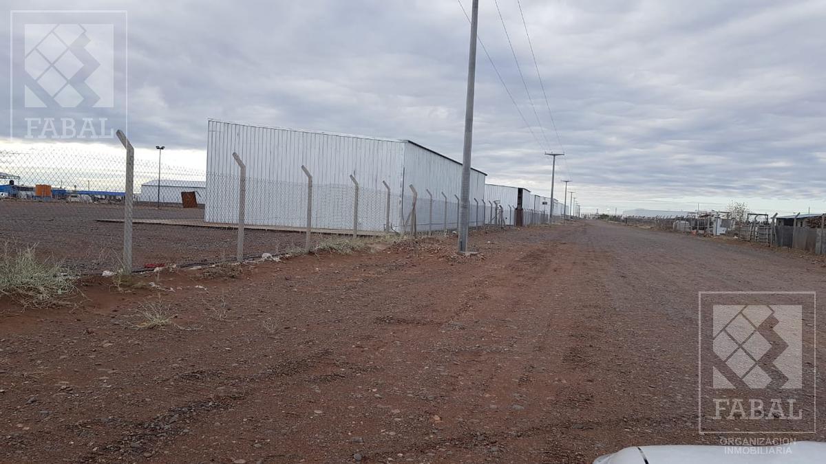 Galpón Venta Añelo Vaca Muerta 3
