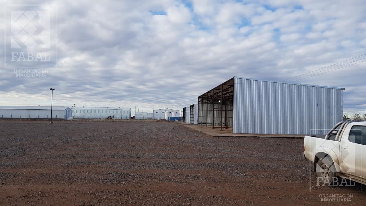 Galpón Venta Añelo Vaca Muerta 4