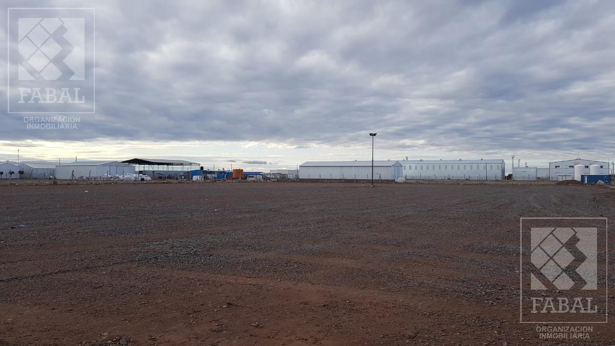 Galpón Venta Añelo Vaca Muerta 5