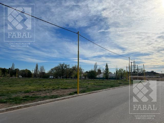 Terreno venta Centenario sobre Ruta 7, apto desarrollo comercial y/o vivienda, de 365 m2 a 9.000 m2
