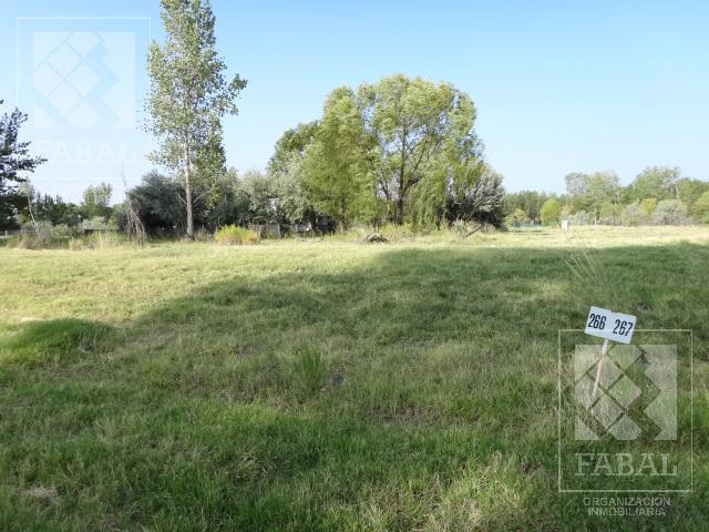 Terreno Venta Los Canales, Plottier con Cancha de Golf, 2 de Tenis, 1 de Fútbol y Club House 5