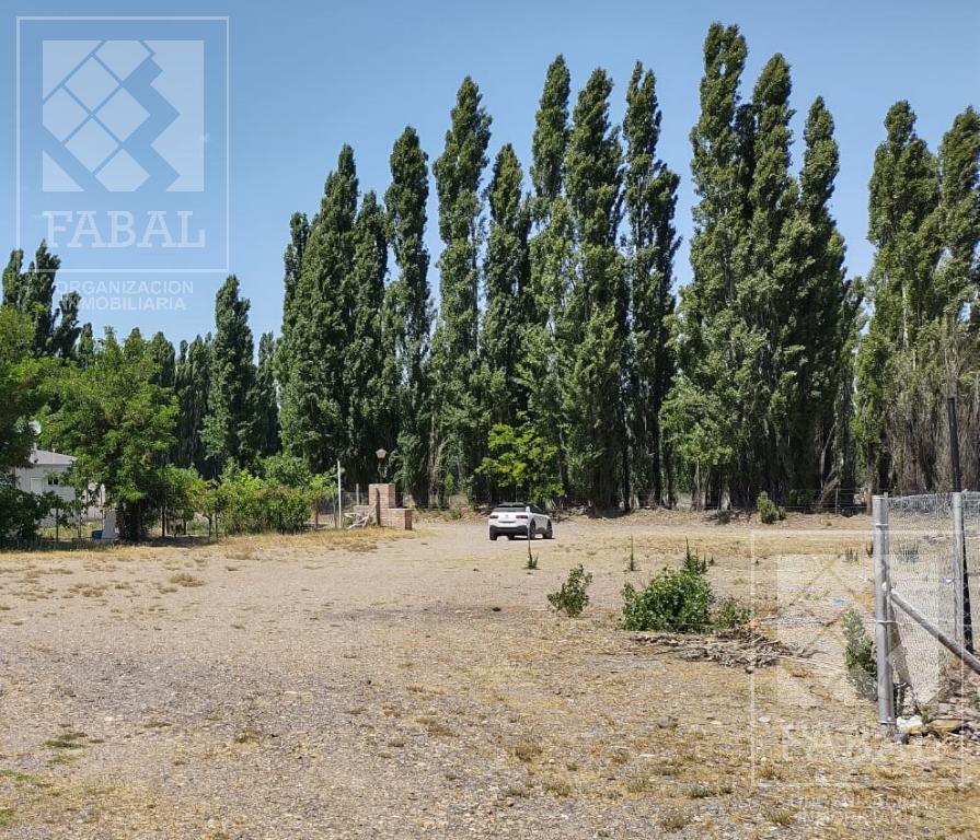 Terreno Venta Plottier Barrio Cerrado La Ribera, 977 m² Complejo con Sum y Pileta 4