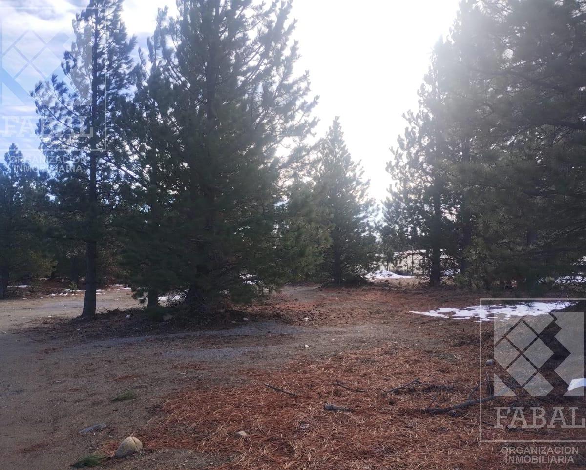Terreno venta San Martín de los Andes, 2 ha. con costa de río en zona Aeropuerto