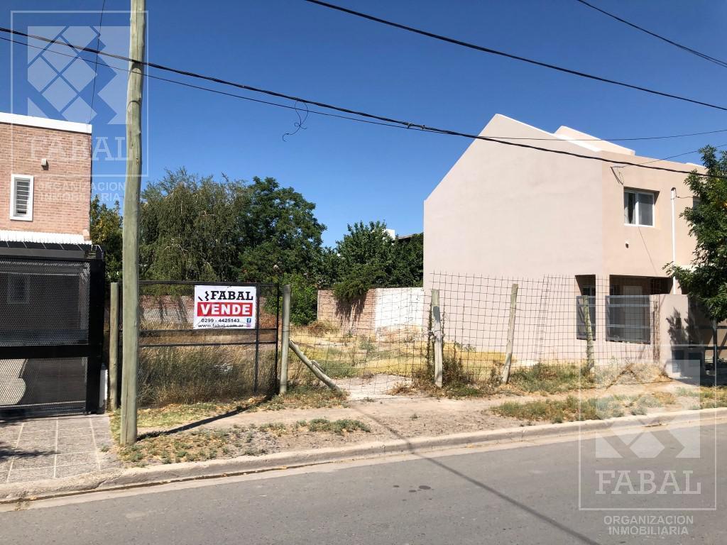 Terreno Venta Jorge Newbery, Cipolletti, de 375 m² Frente a La Plaza La Arroba 4