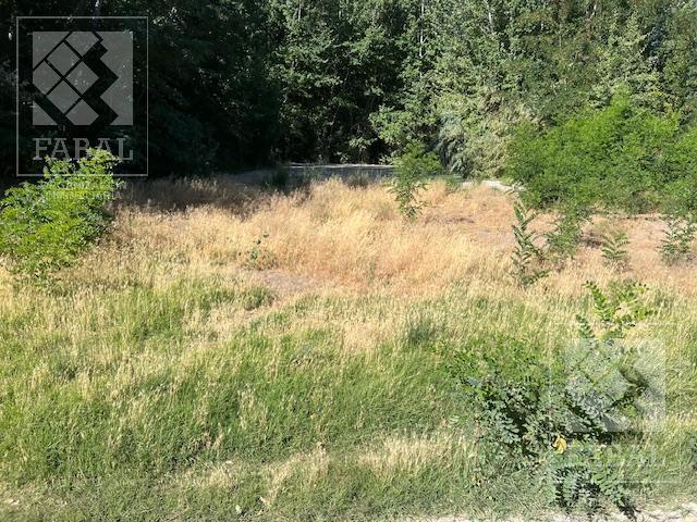Terreno Venta Zona Los Canales de Plottier, 2.000 m² Apto Para Desarrollo Inmobiliario 2