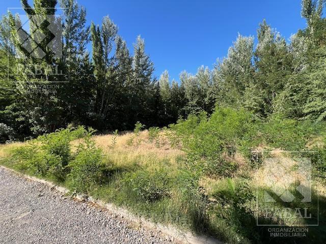 Terreno Venta Zona Los Canales de Plottier, 2.000 m² Apto Para Desarrollo Inmobiliario 3