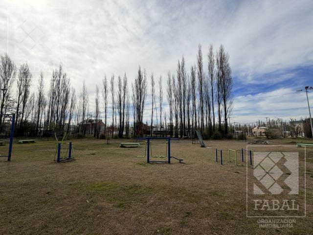 Foto de Terreno venta Altos de Alberdi, Plottier, dos lotes linderos de 12 x 30, imagen 5