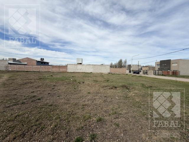 Foto de Terreno venta Altos de Alberdi, Plottier, dos lotes linderos de 12 x 30, imagen 3