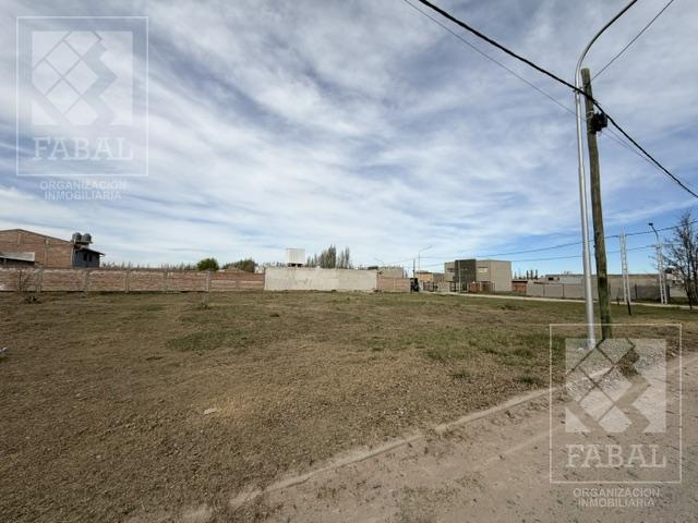 Foto de Terreno venta Altos de Alberdi, Plottier, dos lotes linderos de 12 x 30, imagen 1