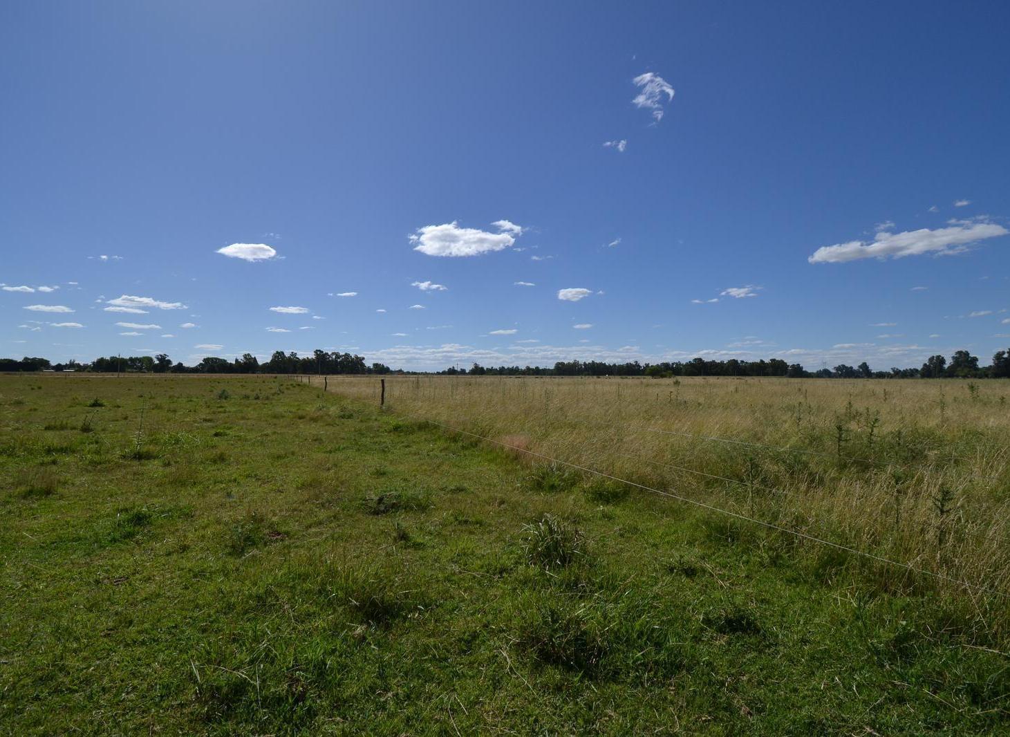 CAMPO EN VENTA CON MEJORAS CERCADO TOTALMENTE Y DOS ACCESOS POR RUTA 41 Y POR RUTA 3