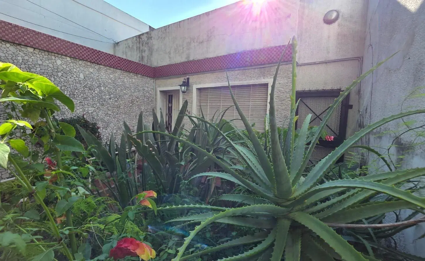 Venta Depósito / Galpón / Oficinas – Neuquen 2700 – Lote Propio 5