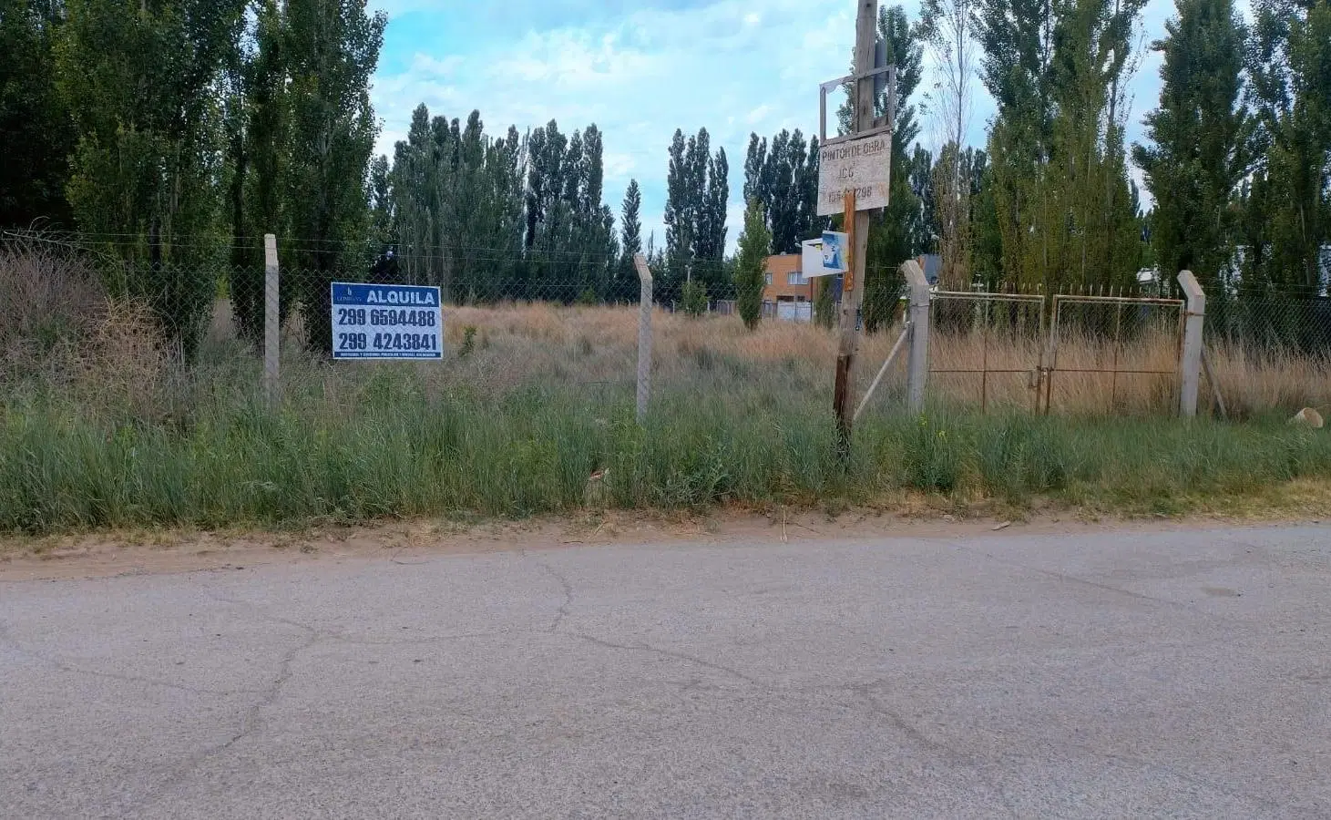 Alquila lote comercial ruta 22 Plottier 5