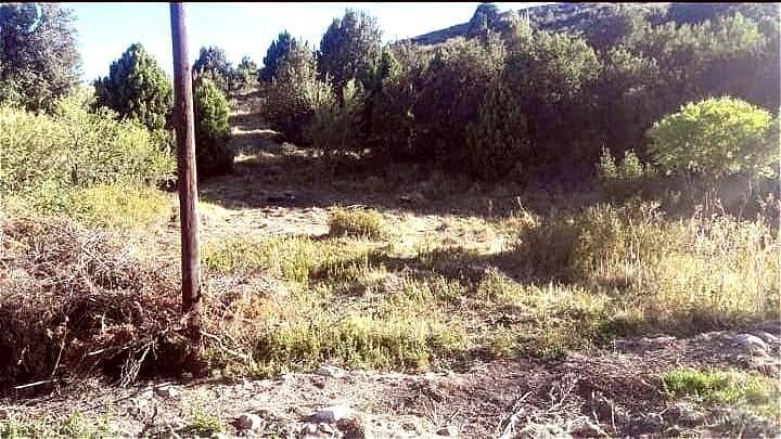 Foto de Terreno en Valle Chapelco San Martin de los Andes, imagen 2