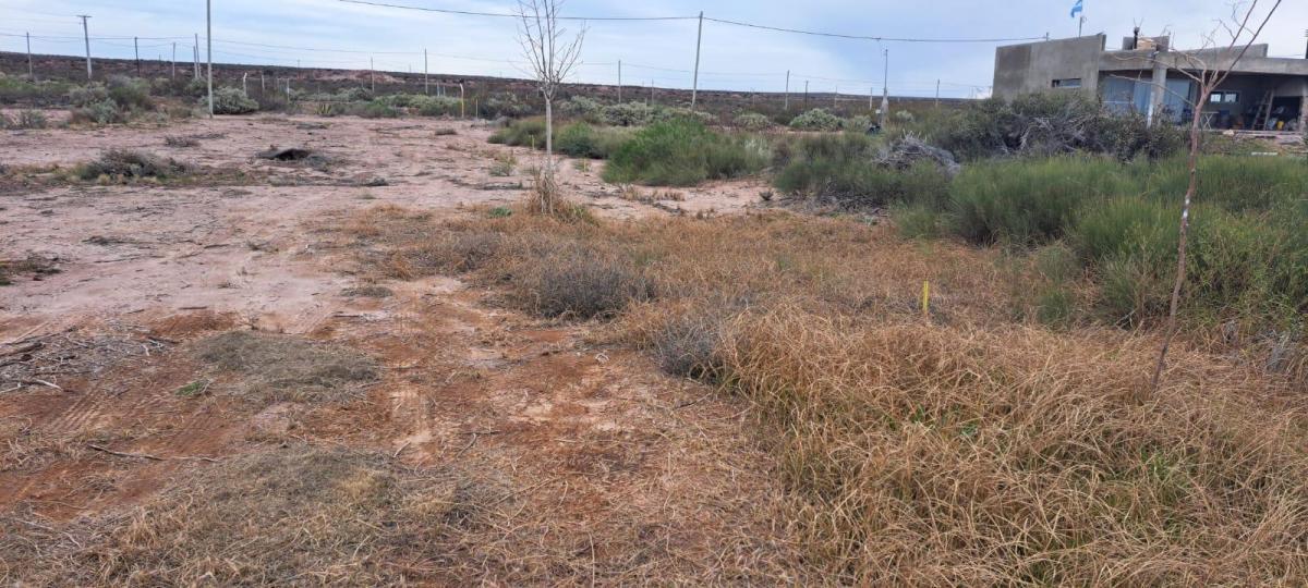 Foto de Terreno en Villa El Chocon, imagen 2