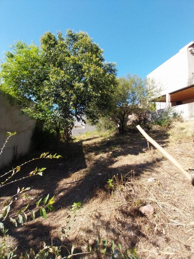 Foto de VENDO LOTE EN ALTOS DE LA CALERA 300 MT2 ESCRITURA, imagen 3