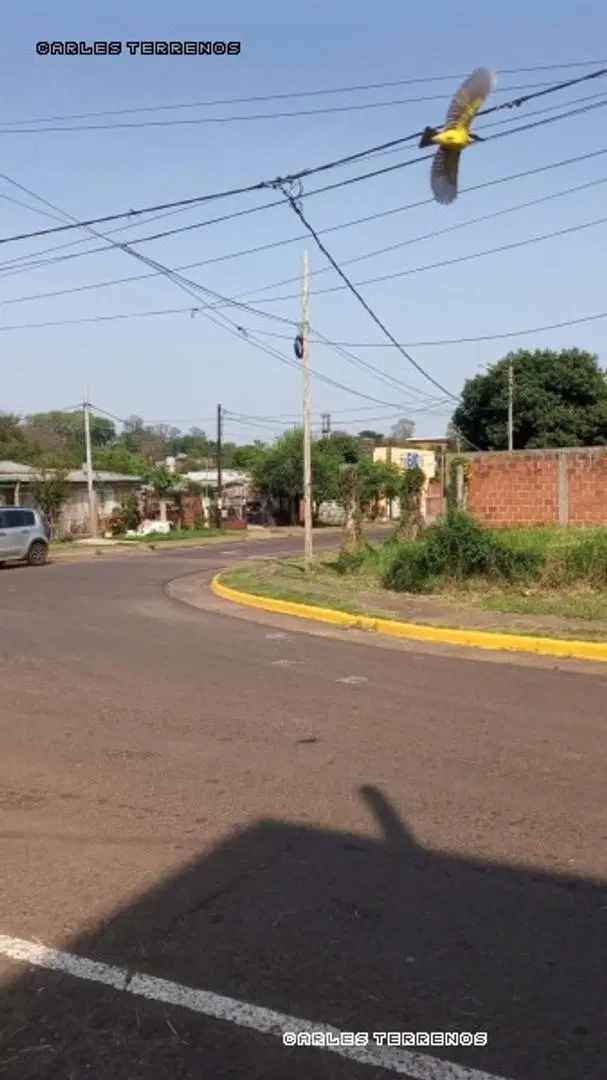 (V655) Excelente oportunidad en Zona Costanera - Posadas 1