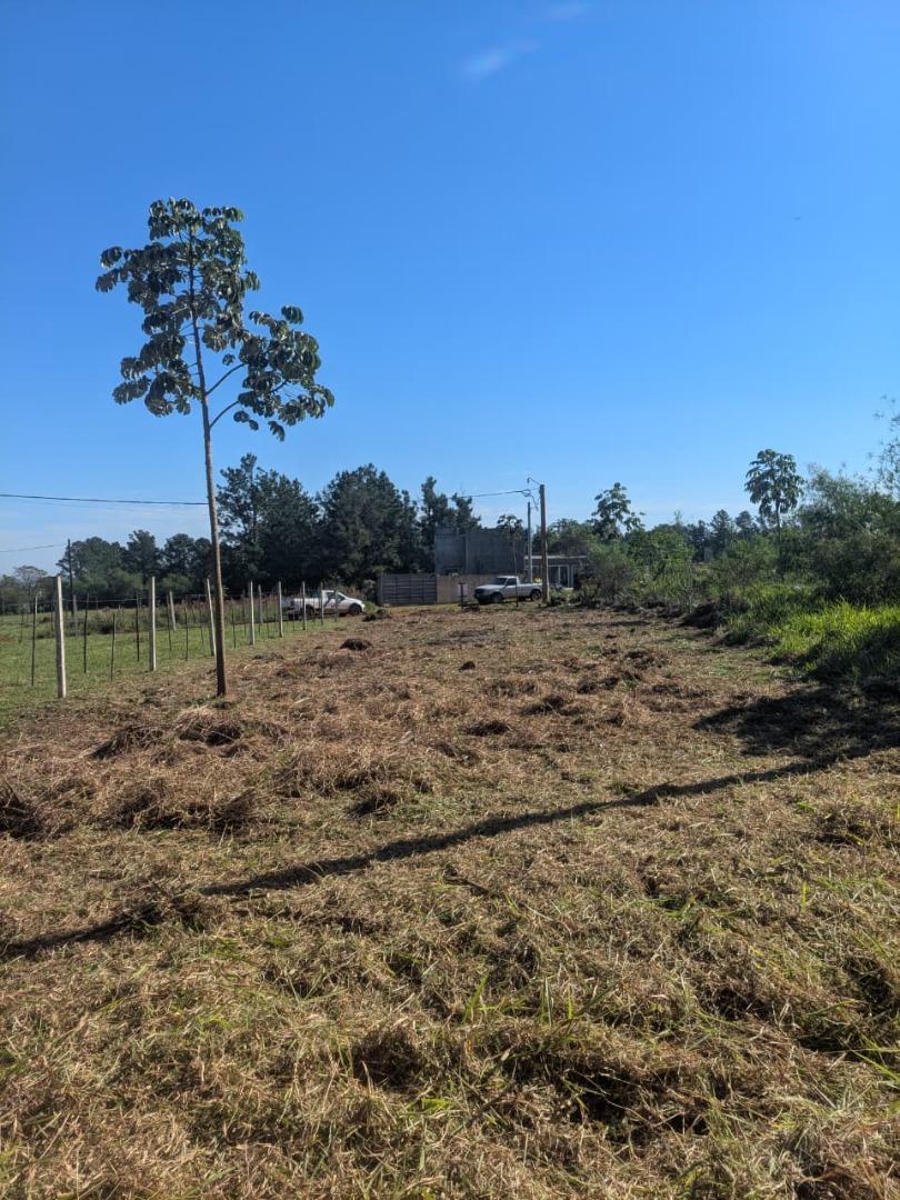 Foto de (V194) Hermoso terreno en Pueblo Chico! Ideal para construir, imagen 3